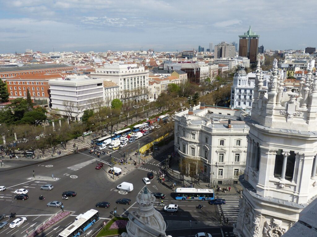 BDBN Profesionales Madrid